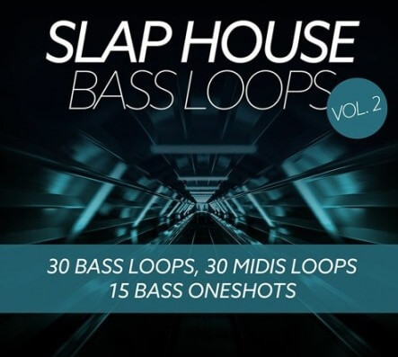 Baltic Audio Slap House Bass Loops Vol.2 WAV MiDi